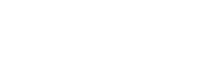 Bisnis Digital FEB-UNM